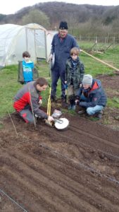 apprendre à semer des carottes